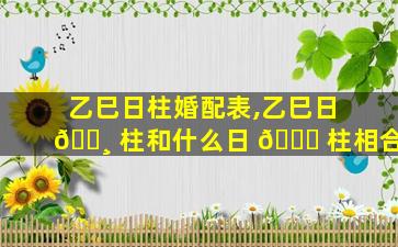 乙巳日柱婚配表,乙巳日 🕸 柱和什么日 🐎 柱相合